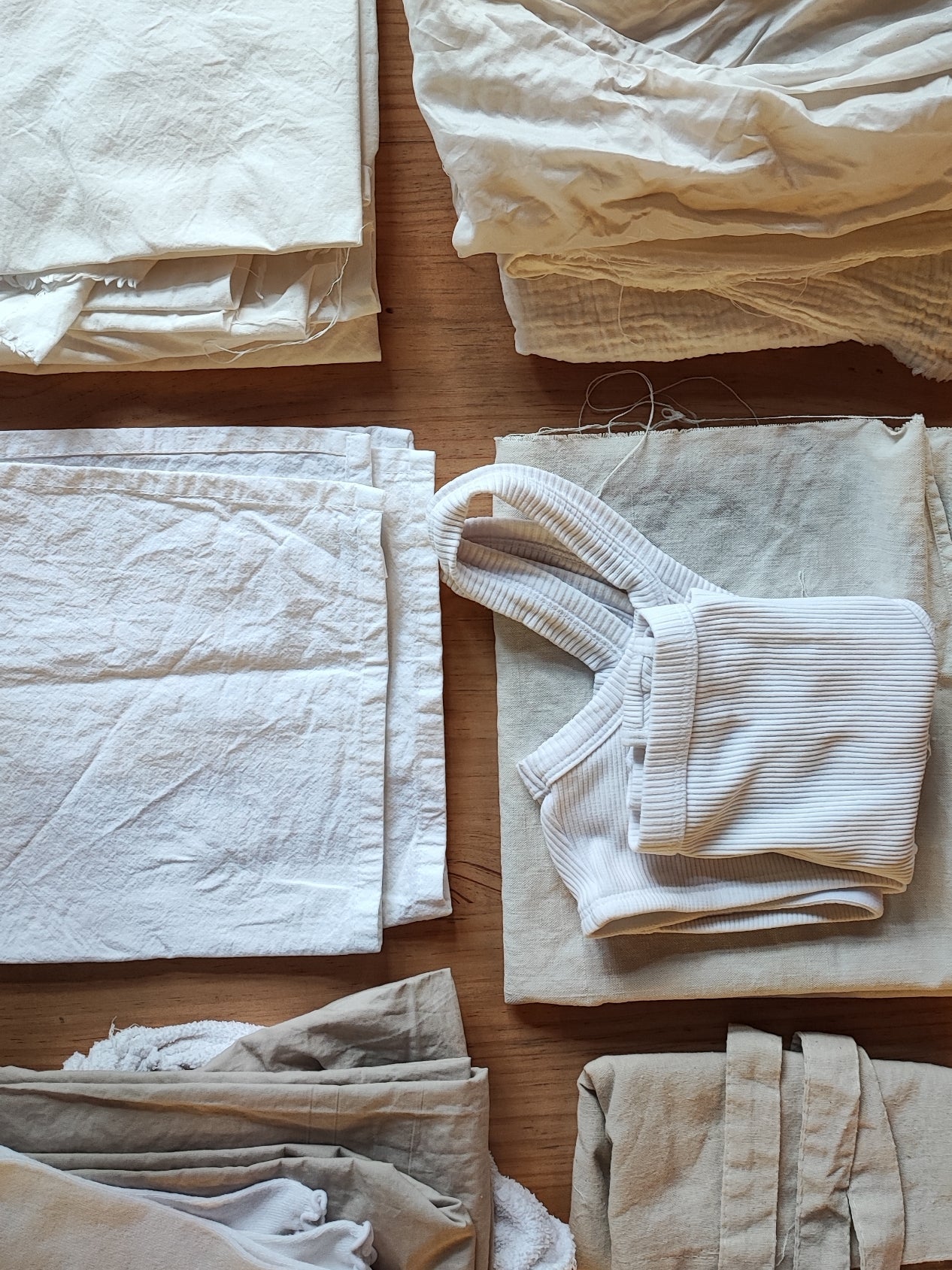 Laboratorio botánico | Clases regulares