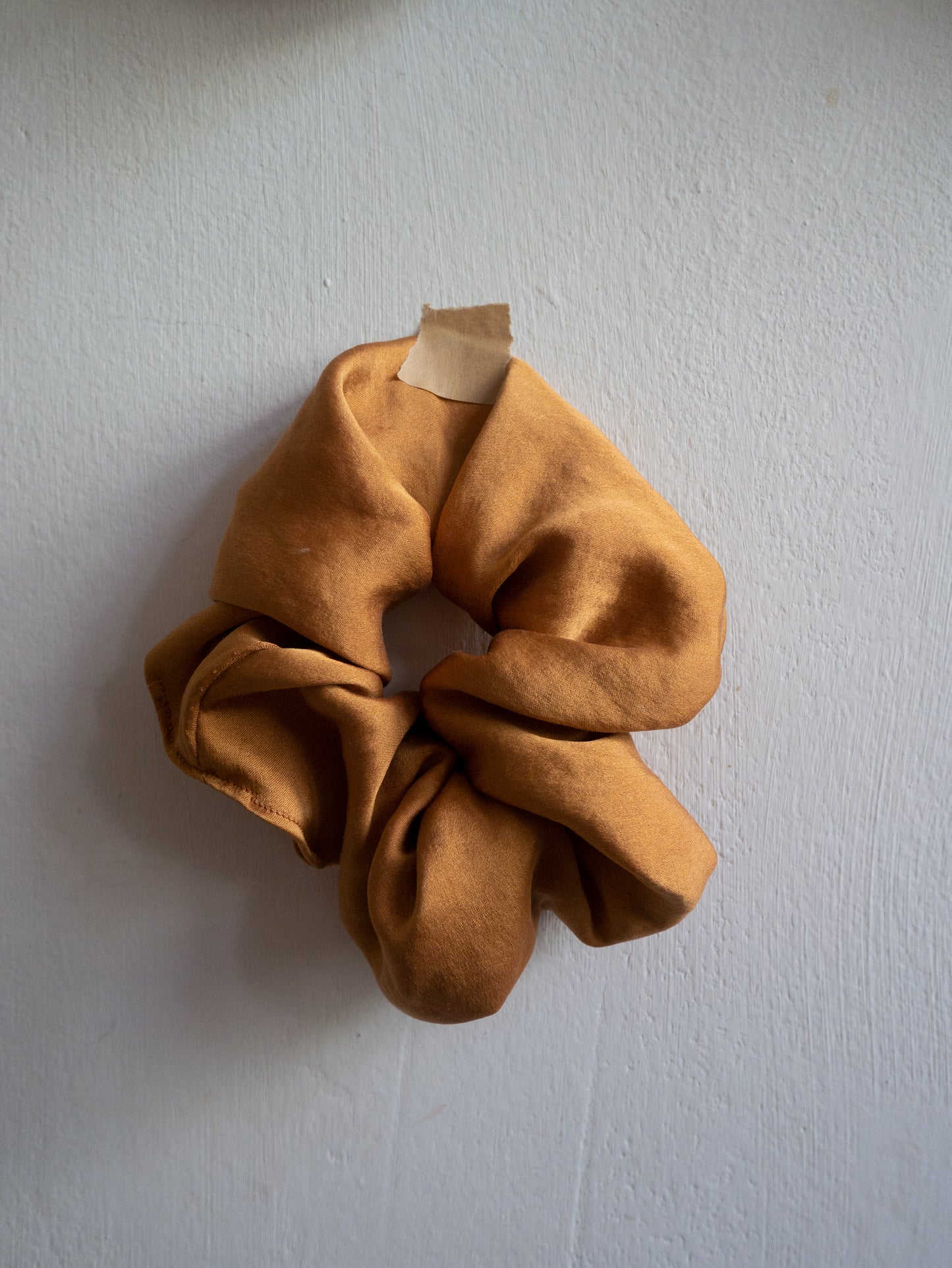 Coletero botánico - Catechu