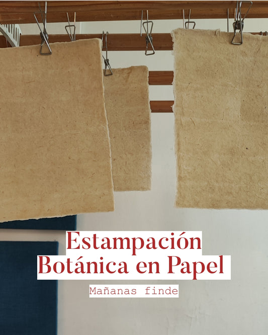 Estampación botánica en papel| Mañanas fin de semana.
