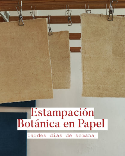 Estampación botánica en papel|Tardes, entre semana.