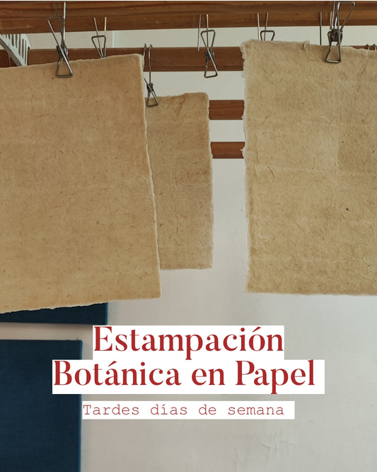 Estampación botánica en papel|Tardes, entre semana.