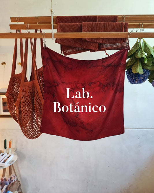 Laboratorio Botánico: Clases regulares