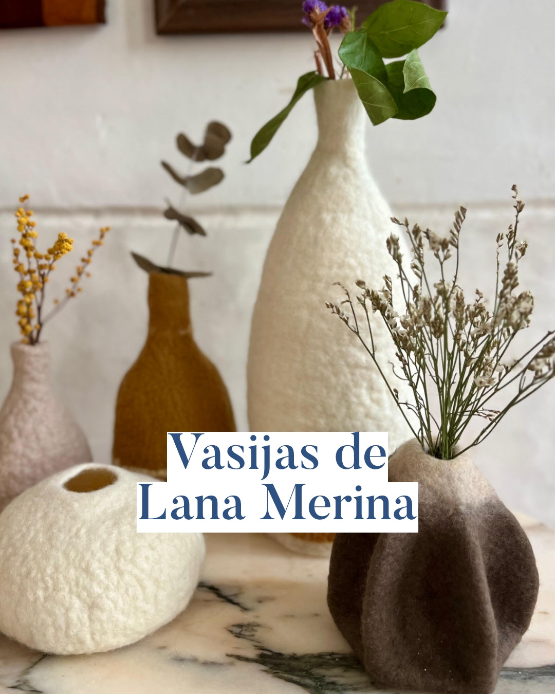 Vasijas de Lana Merina